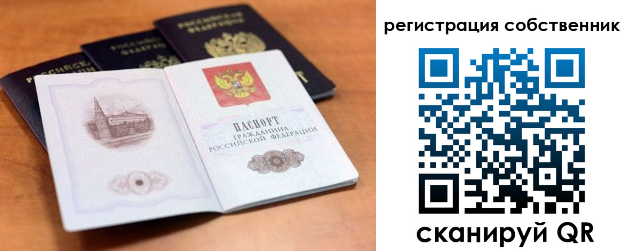 прописка поиск в Карталах